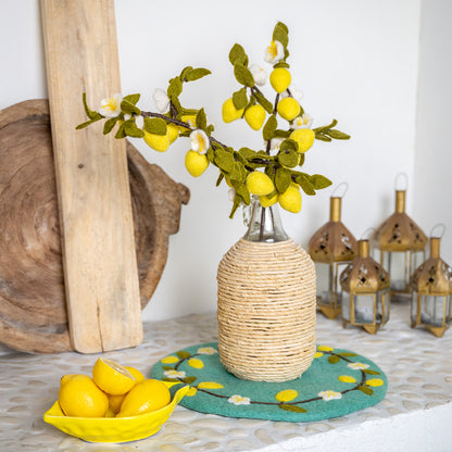 Vilten Tak met Citrusfruit | Sjaal met Verhaal