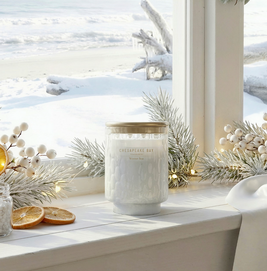Winter Sea | Geurkaars | Chesapeake Bay