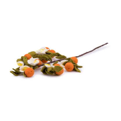 Vilten Tak met Citrusfruit | Sjaal met Verhaal